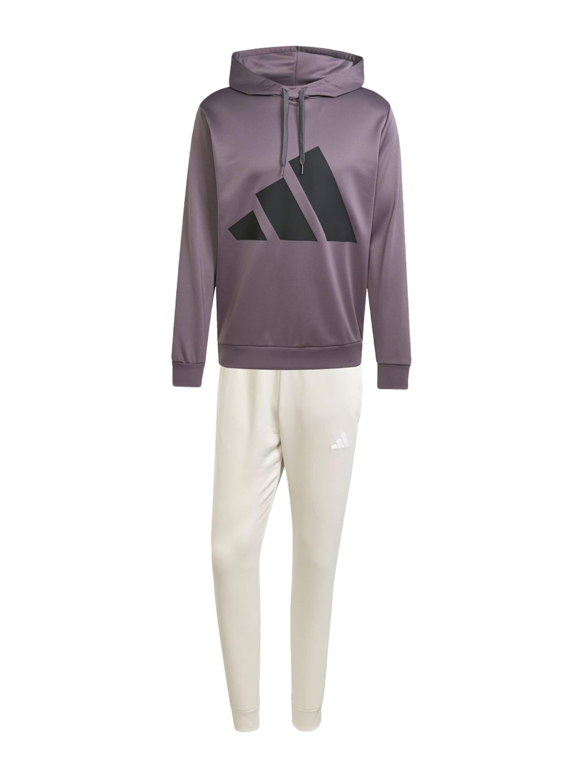 Survêtement ADIDAS SPORTSWEAR en gris : devant