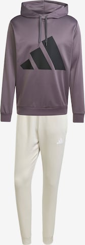 pelēks ADIDAS SPORTSWEAR Treniņtērps: no priekšpuses