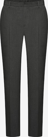 Hirschthal Trousers with creases in Grey: front