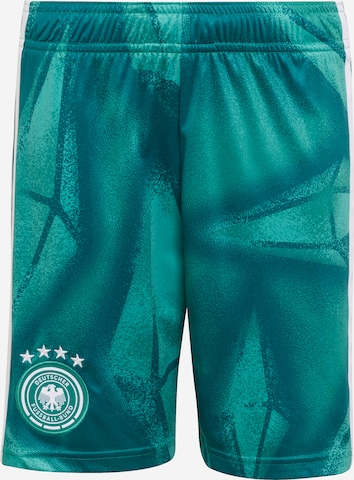 ADIDAS PERFORMANCE Regular Urheiluhousut 'DFB' värissä vihreä: etupuoli