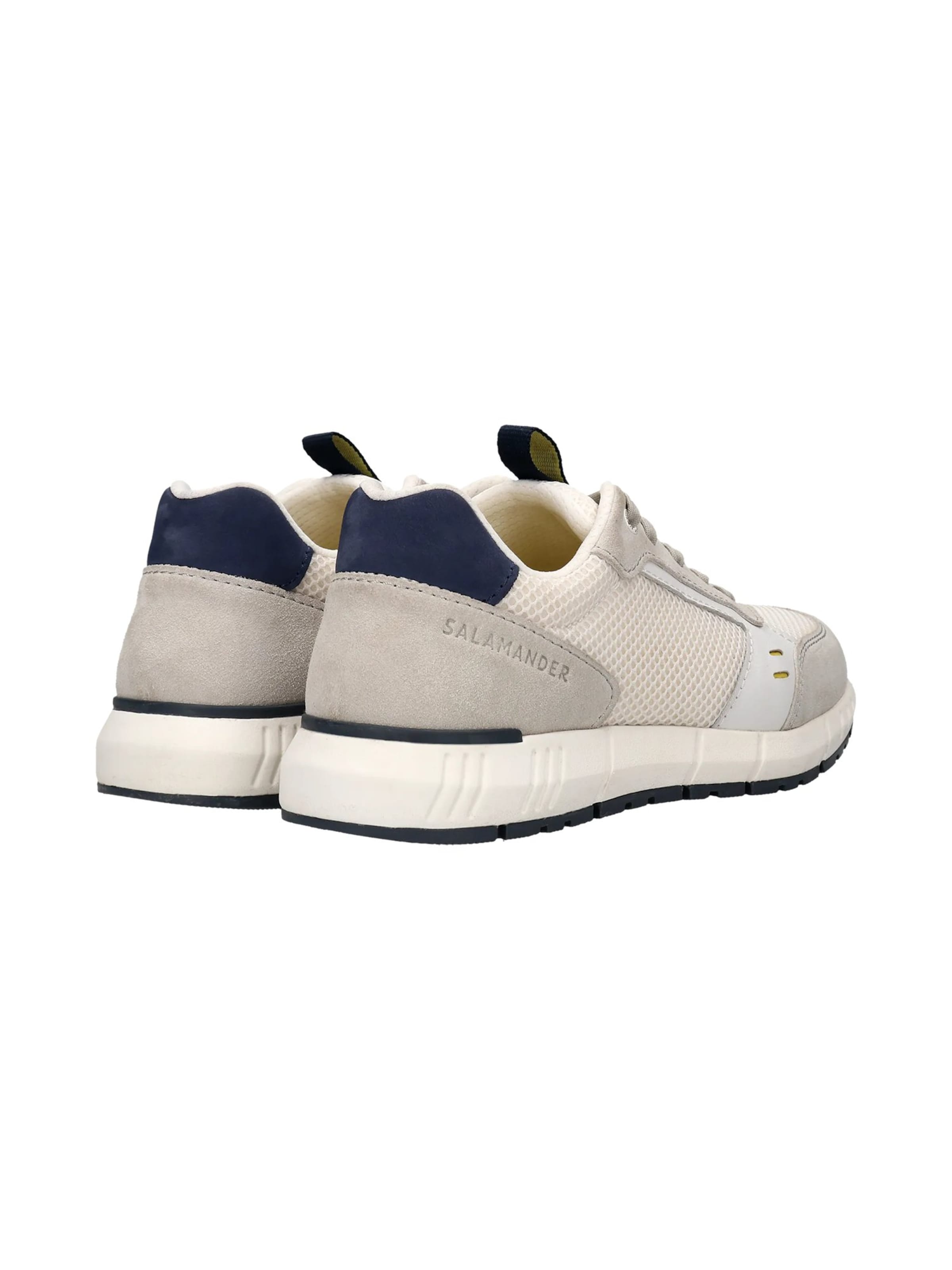 SALAMANDER - Zapatillas deportivas bajas en gris