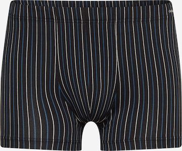 CALIDA Boxer shorts in Black: front