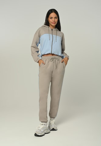 Tom Barron Sweatsuit in Grey: front