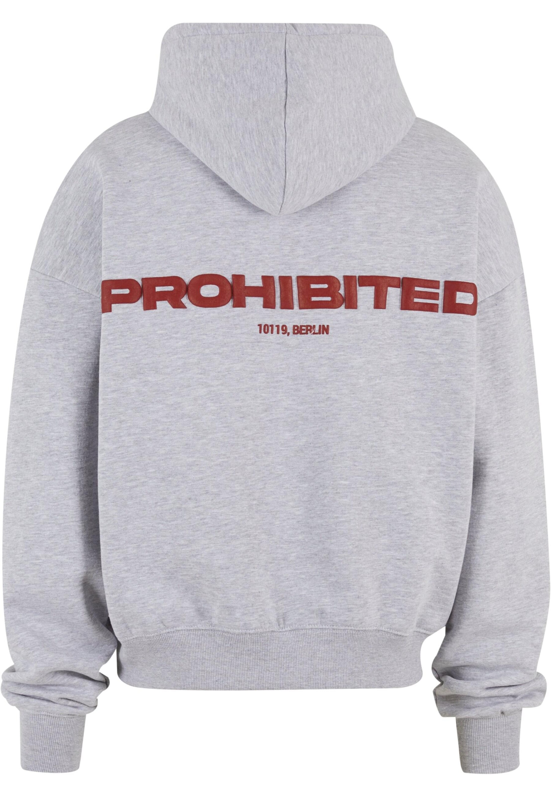 Sweat-shirt Prohibited en gris