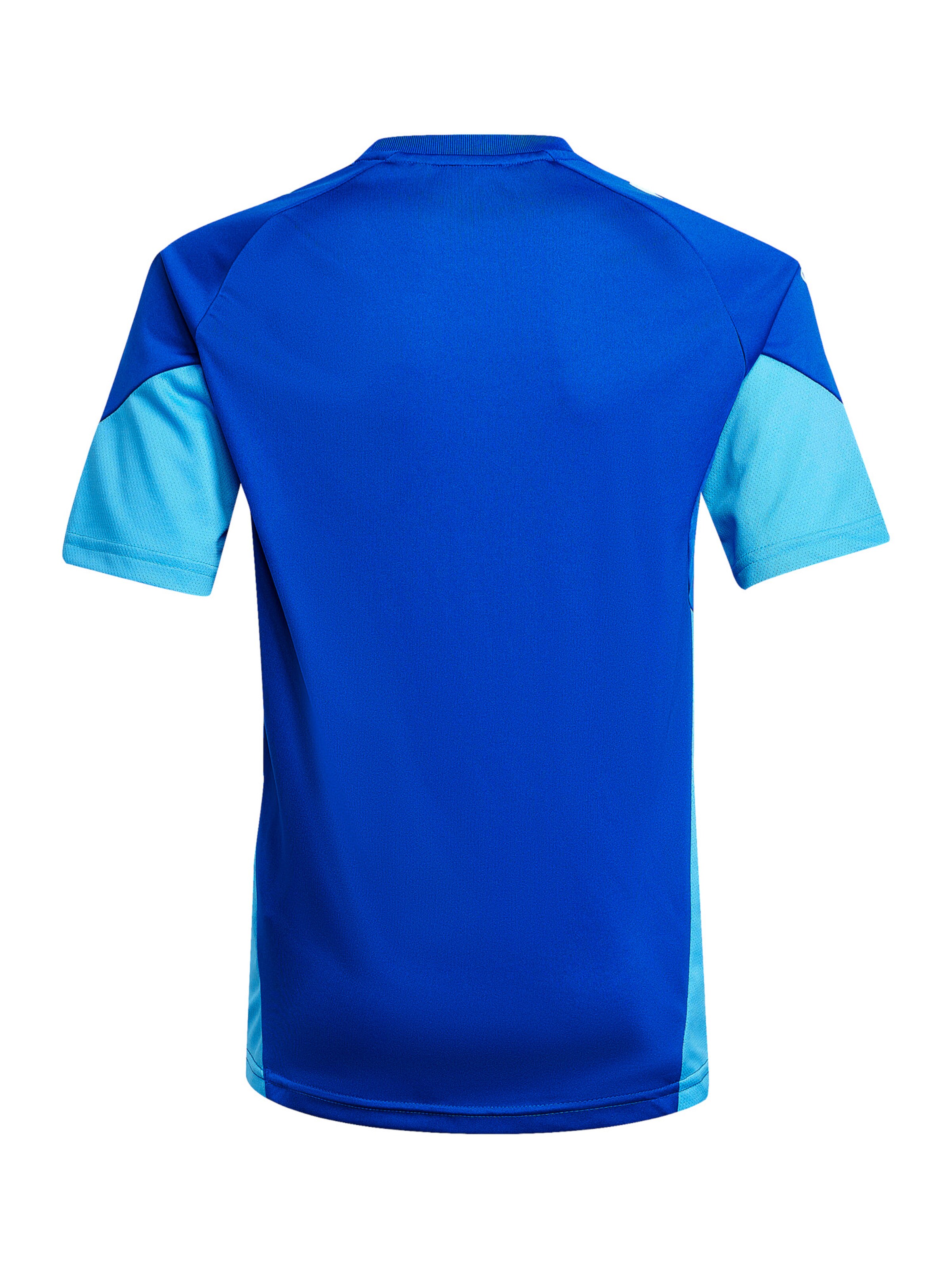 ADIDAS PERFORMANCE Funktionsshirt 'Tiro 25' in Blau