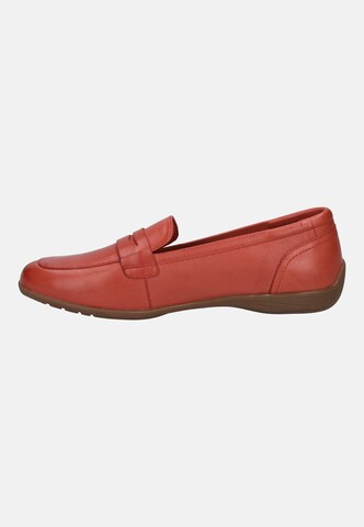 JOSEF SEIBEL Ballerina 'Fenja 22' in Rot