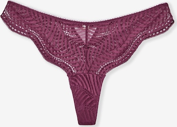 ETAM Thong 'Audace' in Purple: front