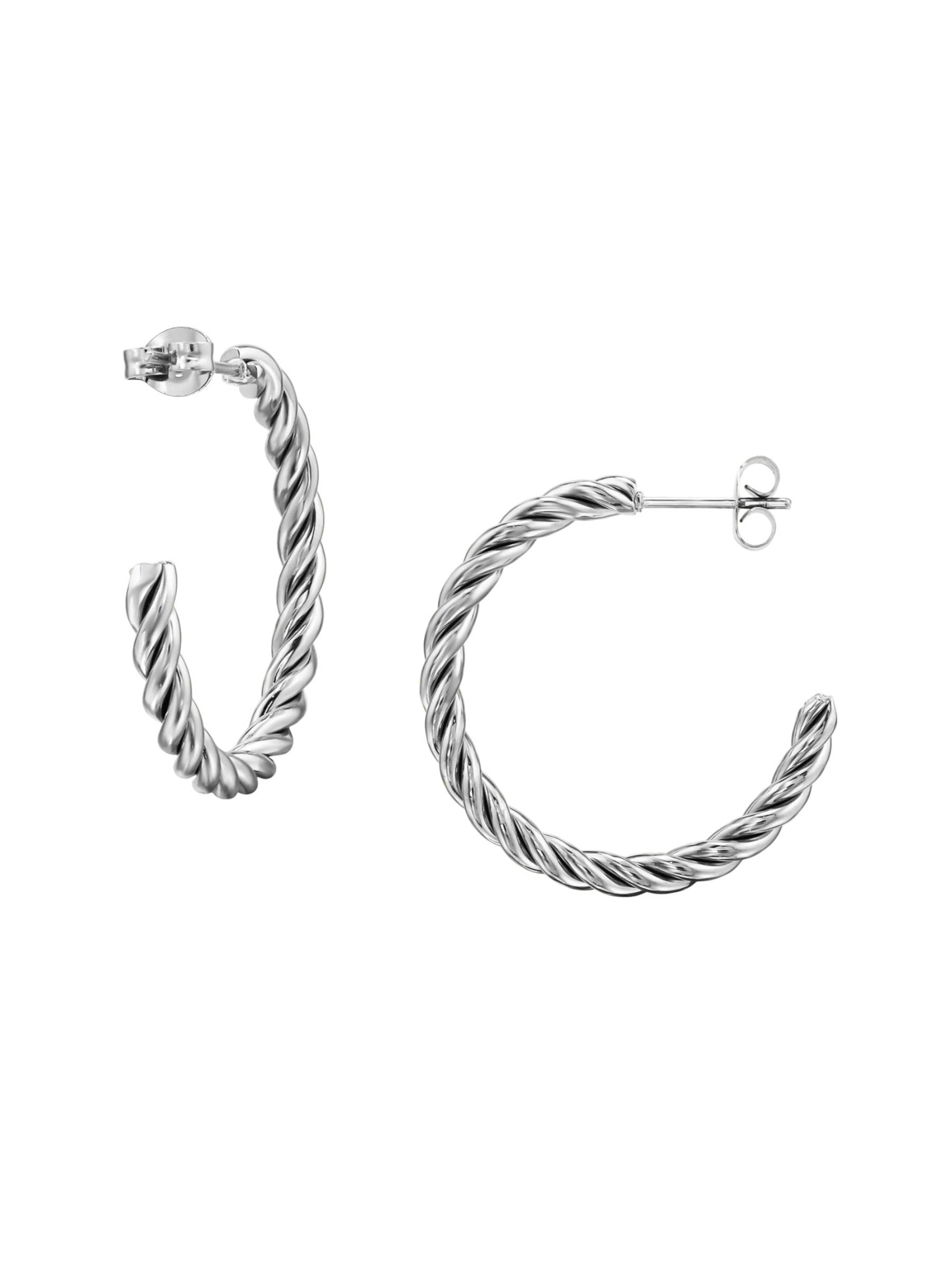 Maxte Earrings in Silver: front