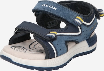 GEOX Sandals & Slippers 'Alben' in Blue: front