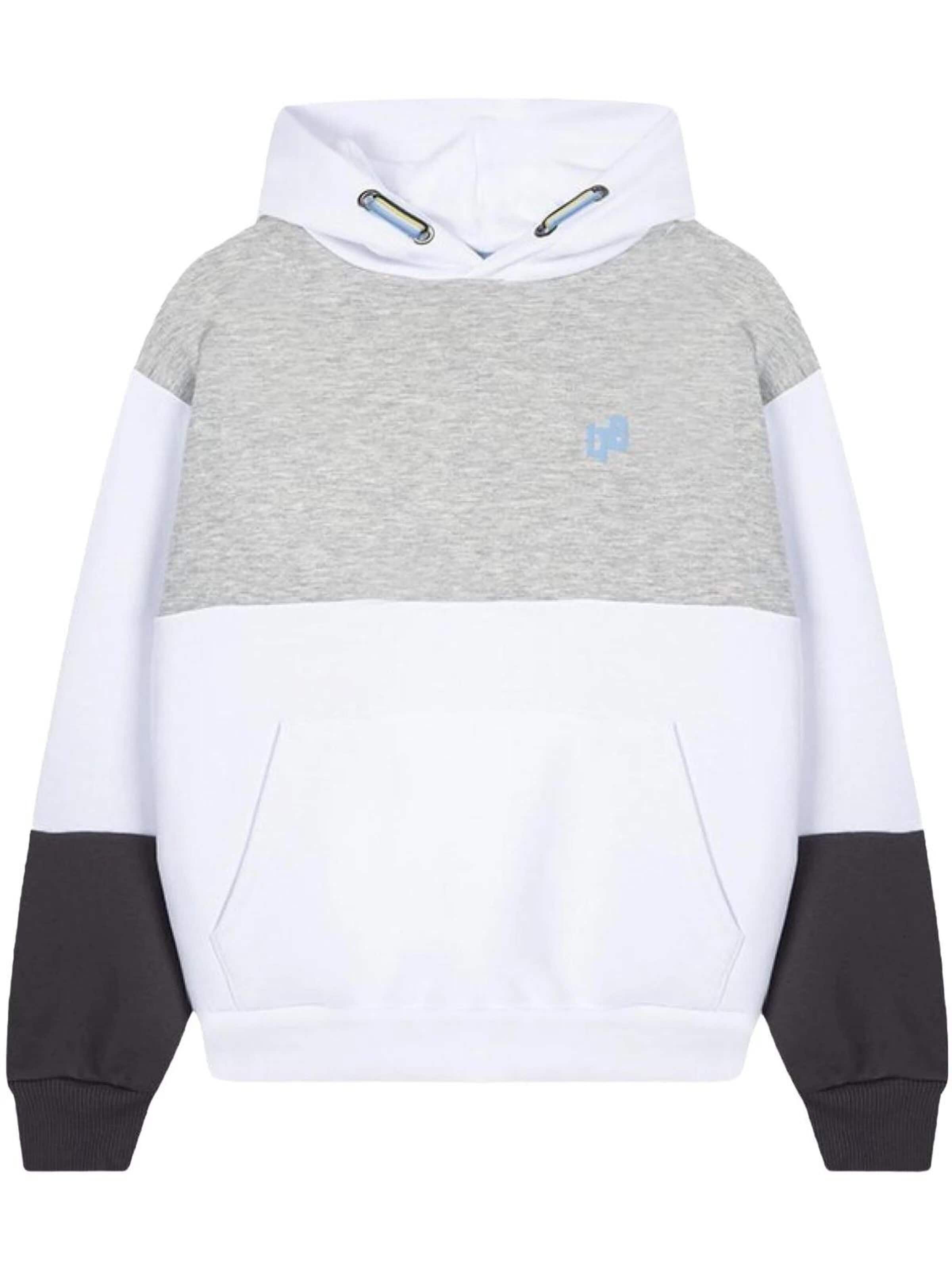 LTB Jeans Sweatshirt in Grey: front