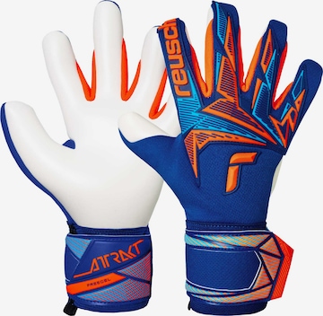 REUSCH Sports gloves 'Attrakt Freegel Advance' in Blue: front