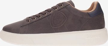 Sneaker bassa 'Buck01' di Blauer.USA in marrone: frontale