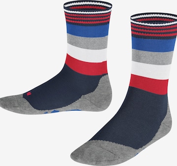 FALKE Socks 'Active Fox' in Blue: front