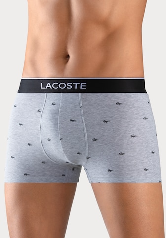 LACOSTE Regular Boxer shorts in Mixed colours