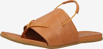 ILC T-Bar Sandals in Brown: front