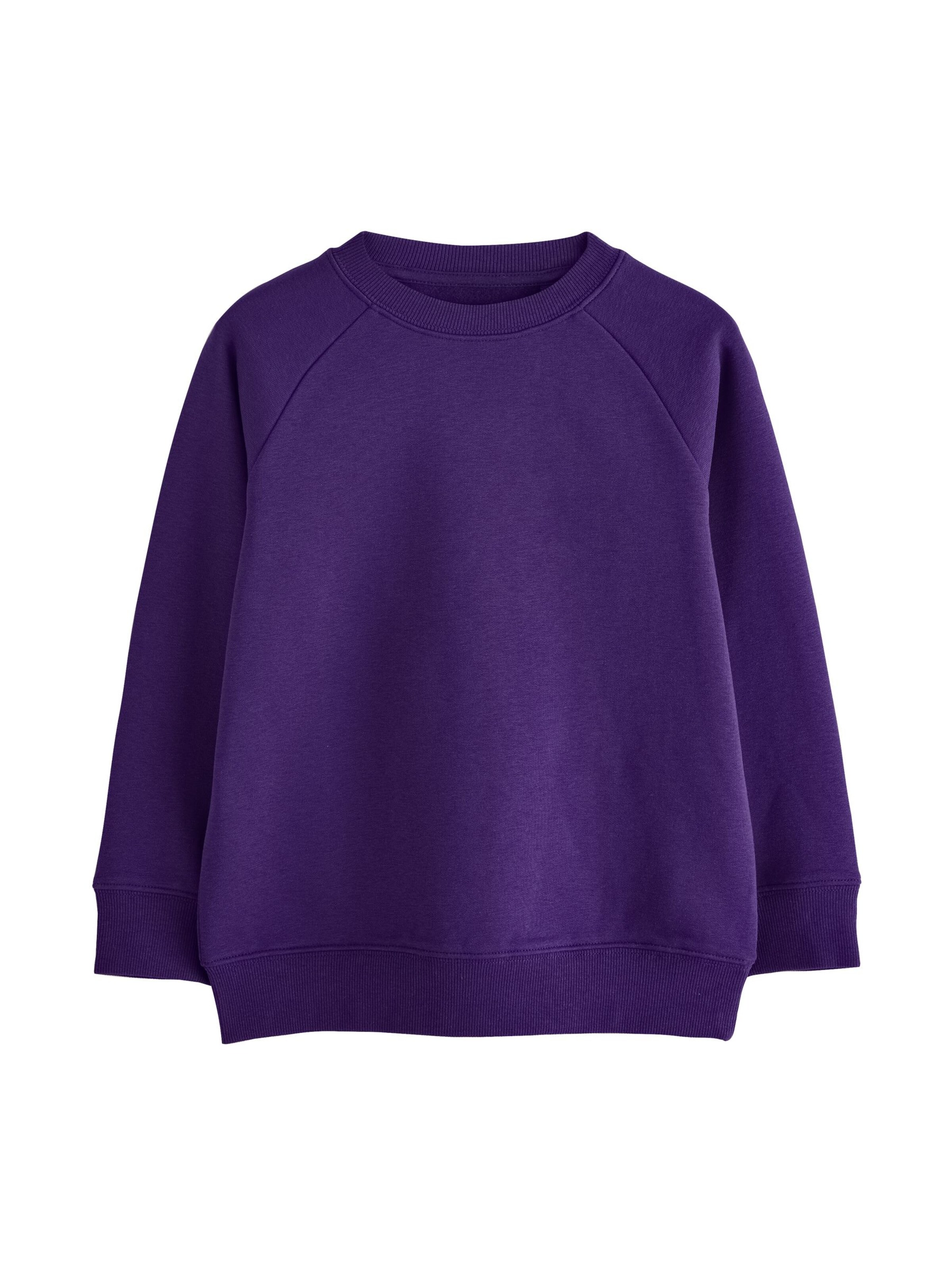 Next Sweatshirt in Purple: front
