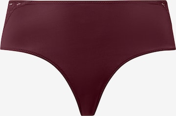 Hanro Slip 'Lilith' in Braun: Vorderseite