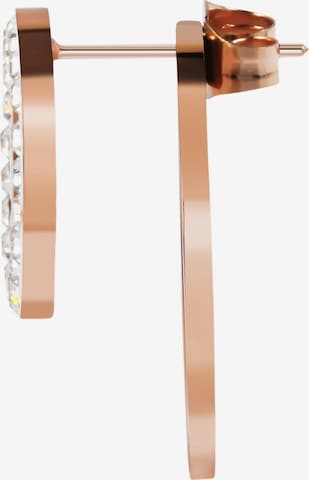 Akzent Earrings 'Elvy, langlebig' in Gold: front