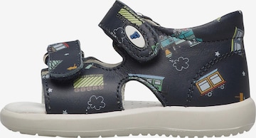 Falcotto Open shoes 'NEW RIVER' in Blue: front
