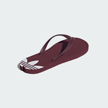 Tongs 'Adi Sun' ADIDAS ORIGINALS en rouge
