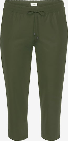 KjBRAND Hose in oliv, Produktansicht