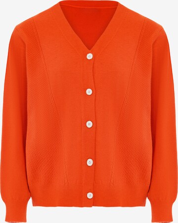 SANIKA Knit Cardigan in Orange: front