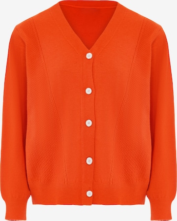 SANIKA Knit Cardigan in Orange: front