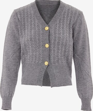 NAEMI Knit Cardigan in Grey: front