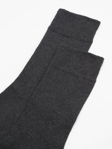 Albert Schäfer Socks in Grey