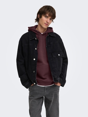 Only & Sons Regular Fit Sweatshirt 'ONSCeres' in Lila