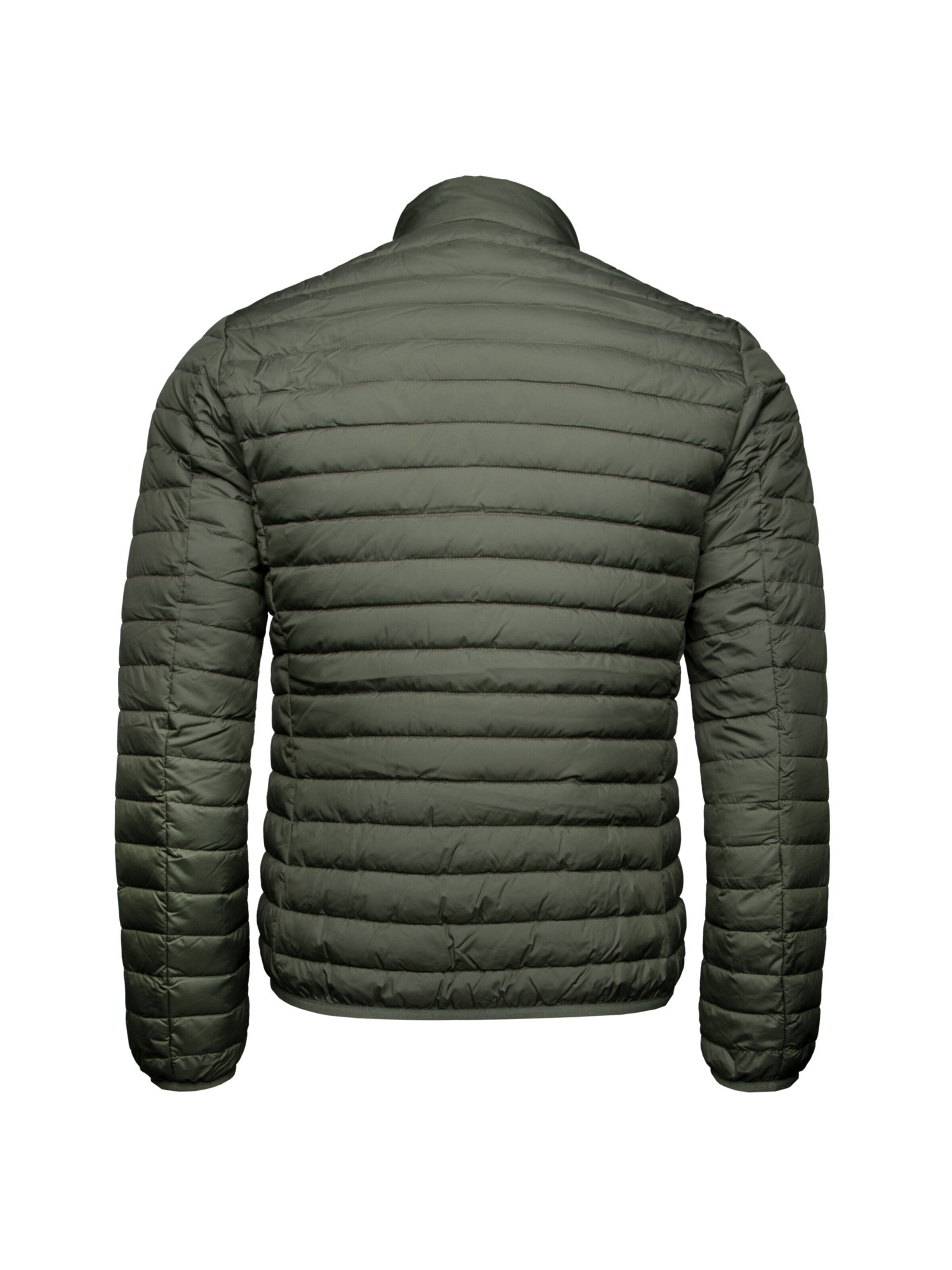 SAVE THE DUCK Tussenjas 'Cole' in Groen