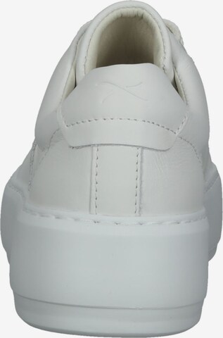 BRAX Sneakers 'Antonia' in White