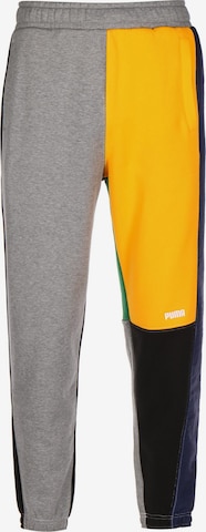 Pantalon de sport 'Signature Basketball' PUMA en gris : devant