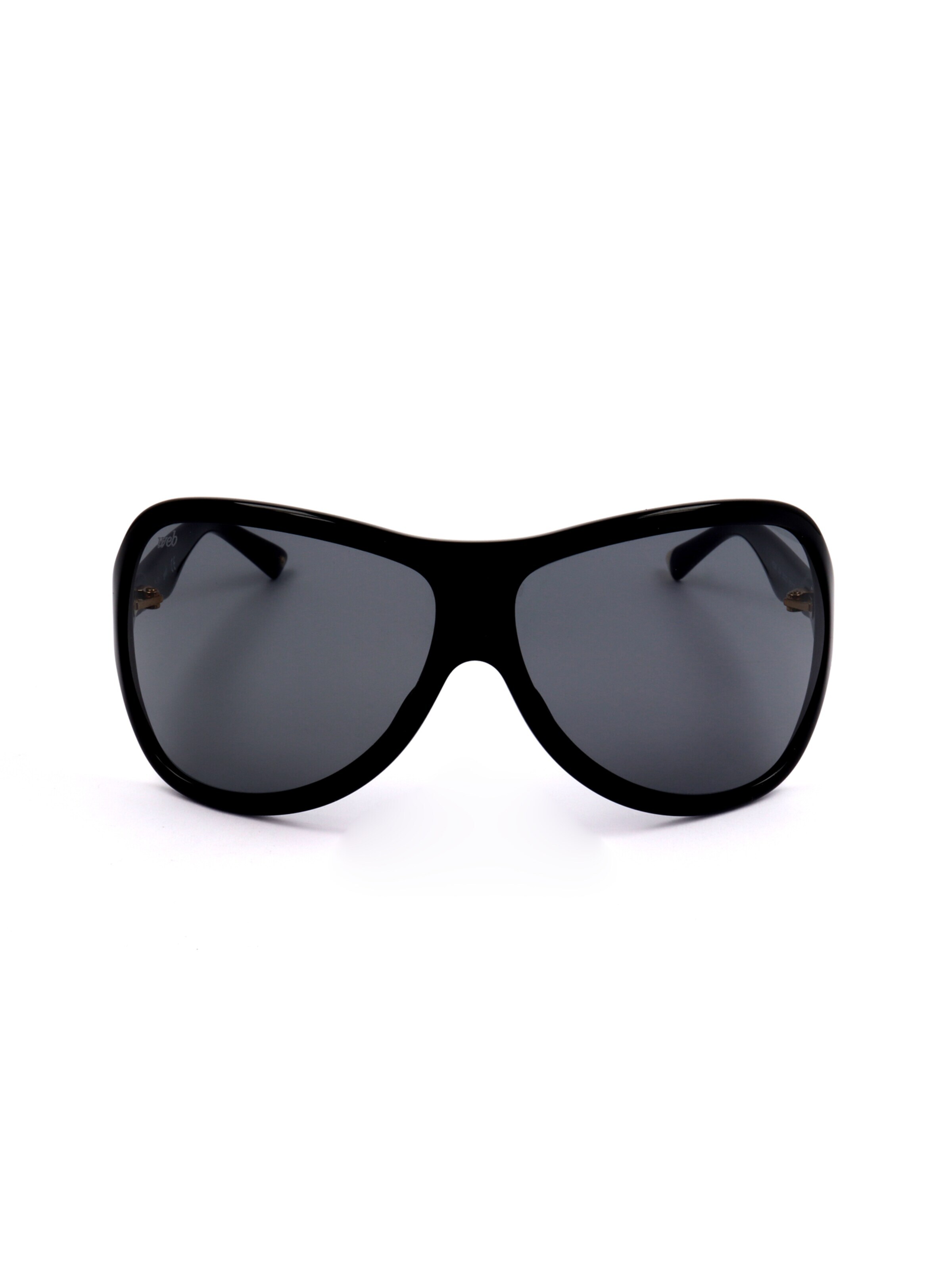 Occhiali da sole 'WE0290' di Web Eyewear in nero: frontale
