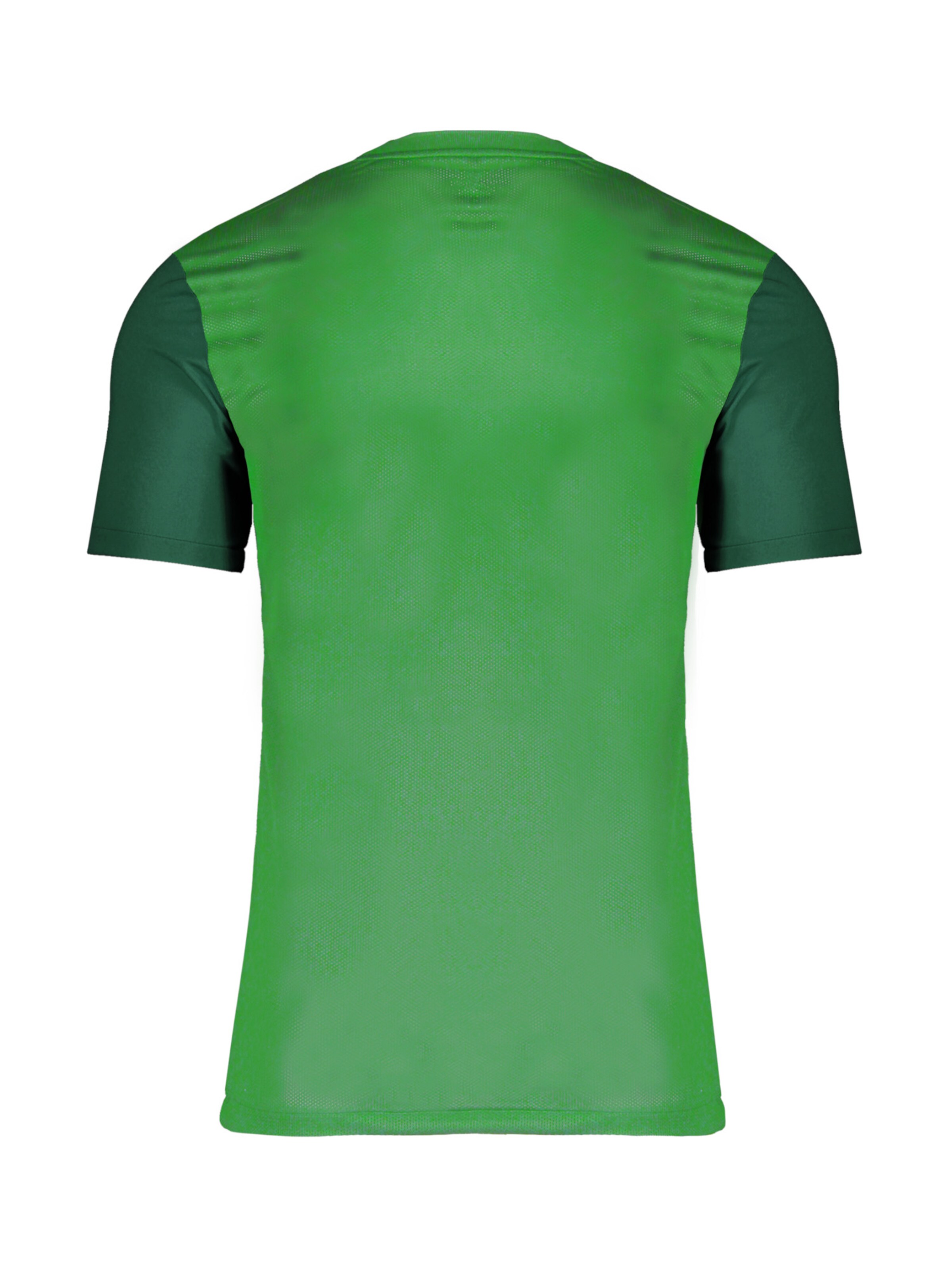 NIKE Jersey 'Trophy V' in Green