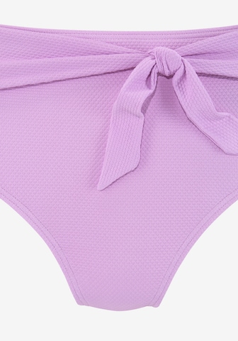 LASCANA Dół bikini w kolorze fioletowy