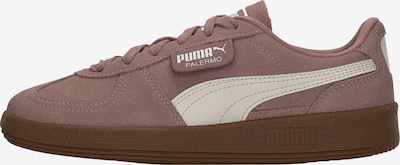 38,5 dydžio Sportbačiai 'Palermo' iš PUMA, spalva – brokato spalva / balta, Prekių apžvalga