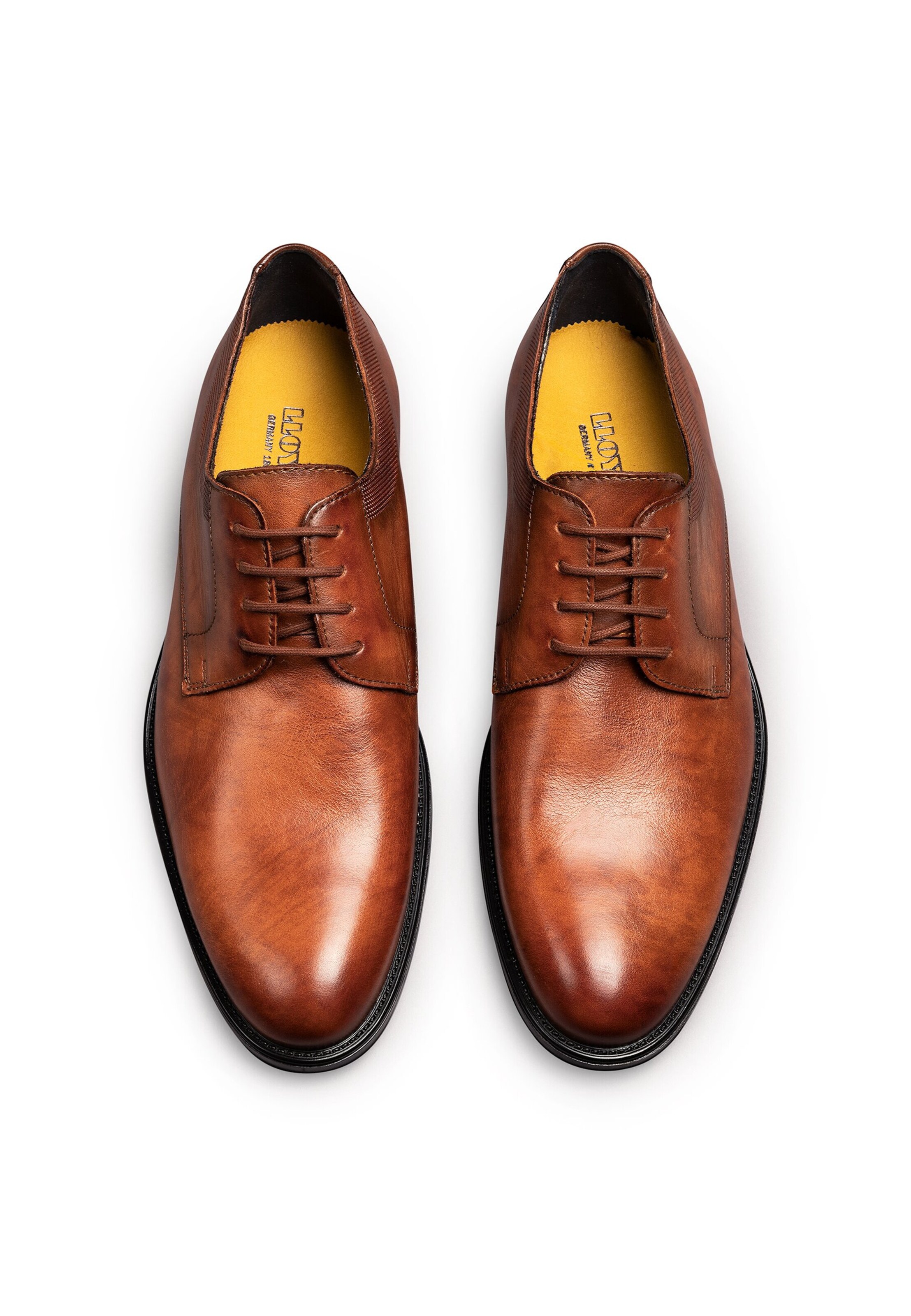 LLOYD Schnürschuh 'Davenport' in Braun