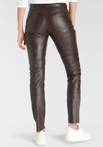 Gipsy Regular Pants in Brown