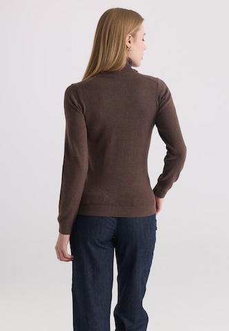 Pull-over Felix Hardy en marron