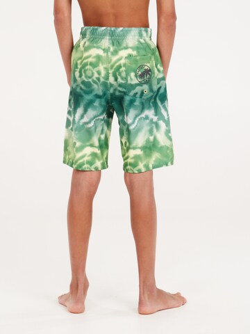 PROTEST Board Shorts 'PRTDANIEL JR' in Green