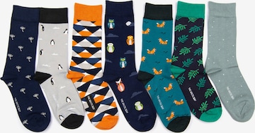 Chaussettes 'DISCOVERY PACK EDITION 7 Unisex' The Arctic Bay en mélange de couleurs : devant