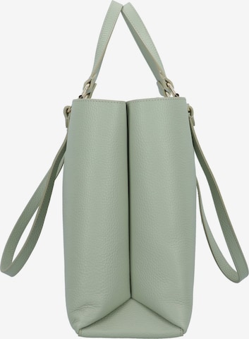 Coccinelle Handbag in Green