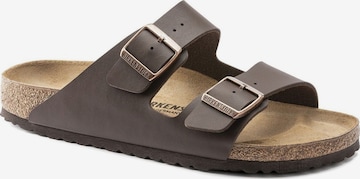 Ciabatta 'Birkenstock Ciabatta Arizona' di BIRKENSTOCK in marrone: frontale