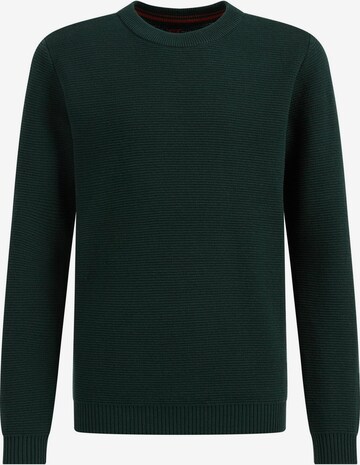 Pullover di WE Fashion in verde: frontale