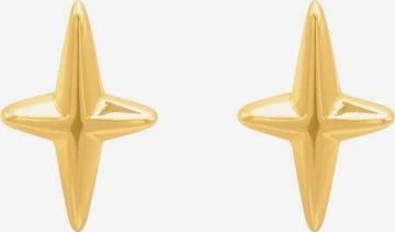 Heideman Earrings 'Sula' in Gold: front