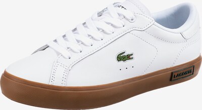 LACOSTE Sneakers 'Powercourt' in Brown / Green / White, Item view