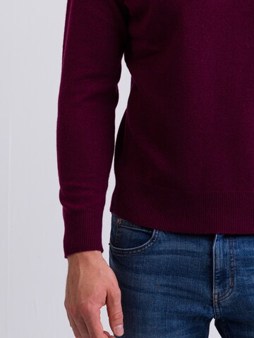 Pullover di CASH-MERE.CH in lilla