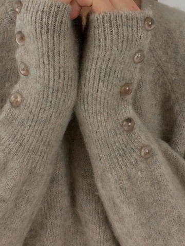 Hiccup - Pullover em cinzento