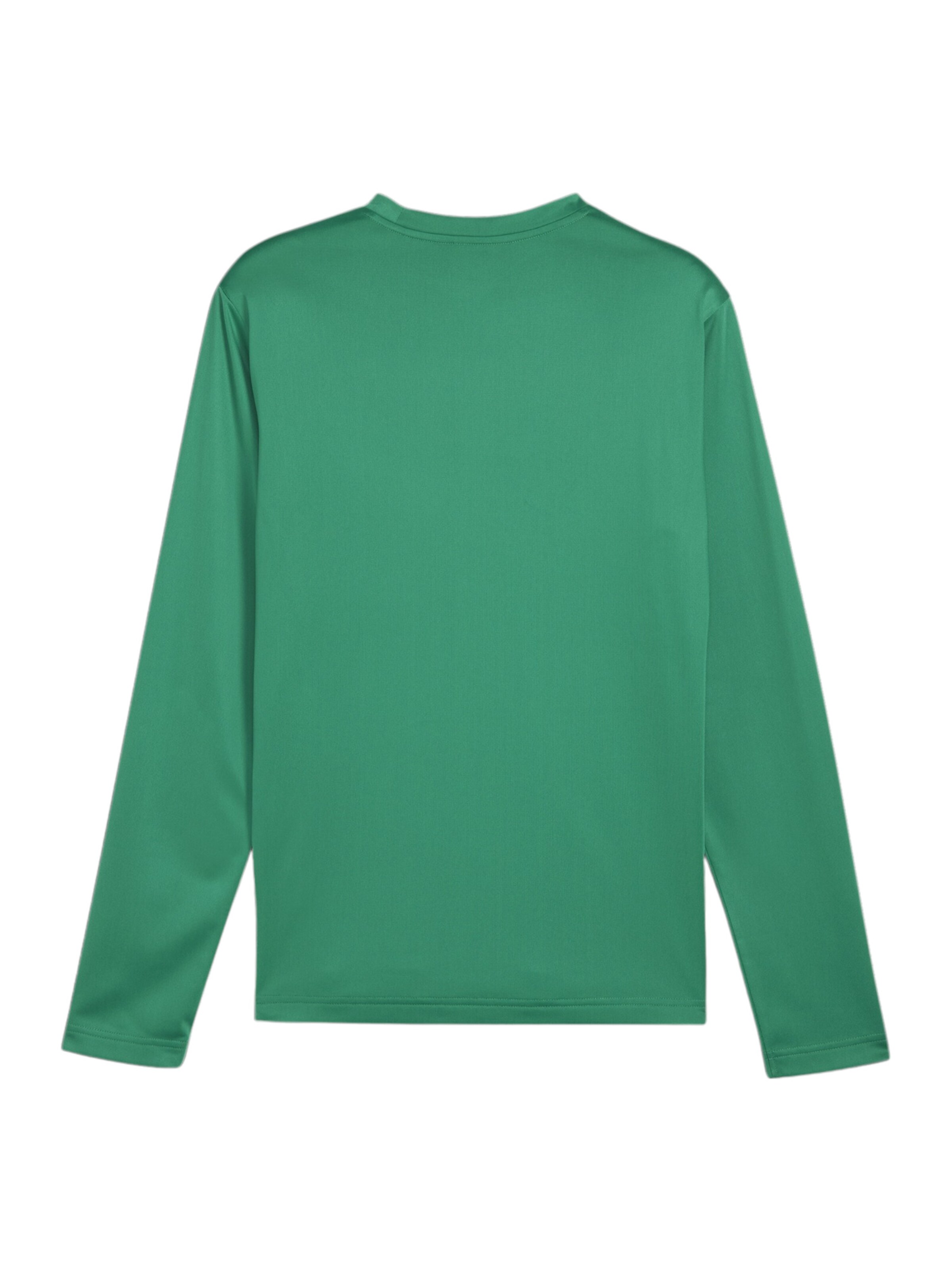 PUMA Sports sweatshirt 'teamGOAL' in Green
